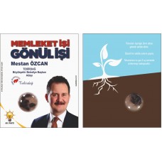 KARIŞIK KIR ÇİÇEĞİ TOHUMLARI